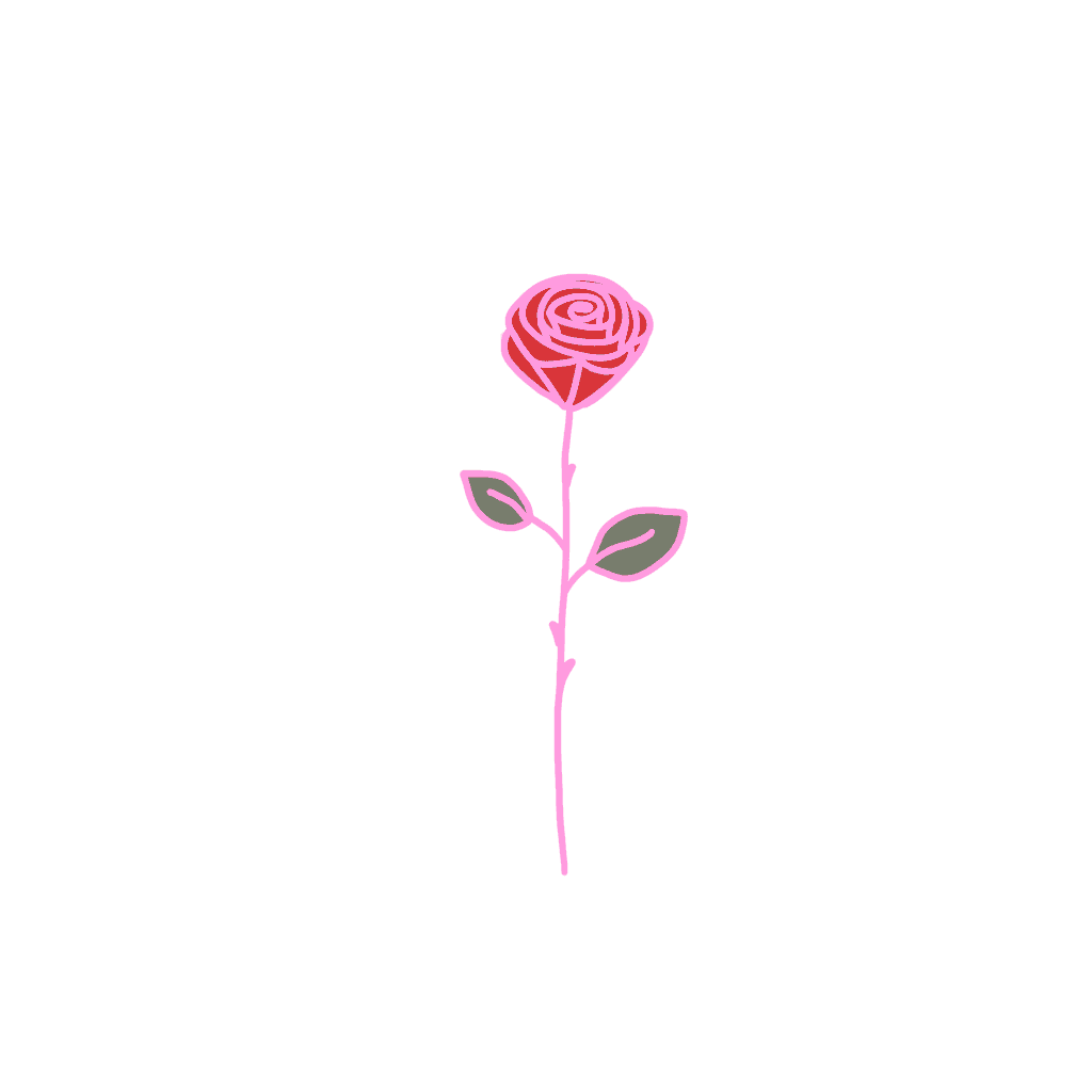 Valentinstag - Kommerz oder Herz? 2 Valentinstag Rose