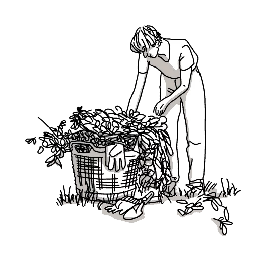 Dieses Bild hat ein leeres Alt-Attribut. Der Dateiname ist 210916_Illustration_Gruenabfaelle3-1024x576.png